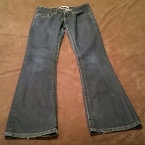 BKE Denim Sabrina Jeans